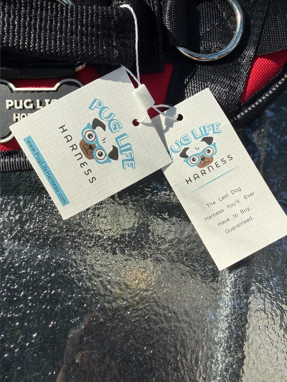 NWT Pug Life Harness